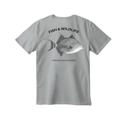 Queen Tiger Fish Animal T-Shirt - Coral