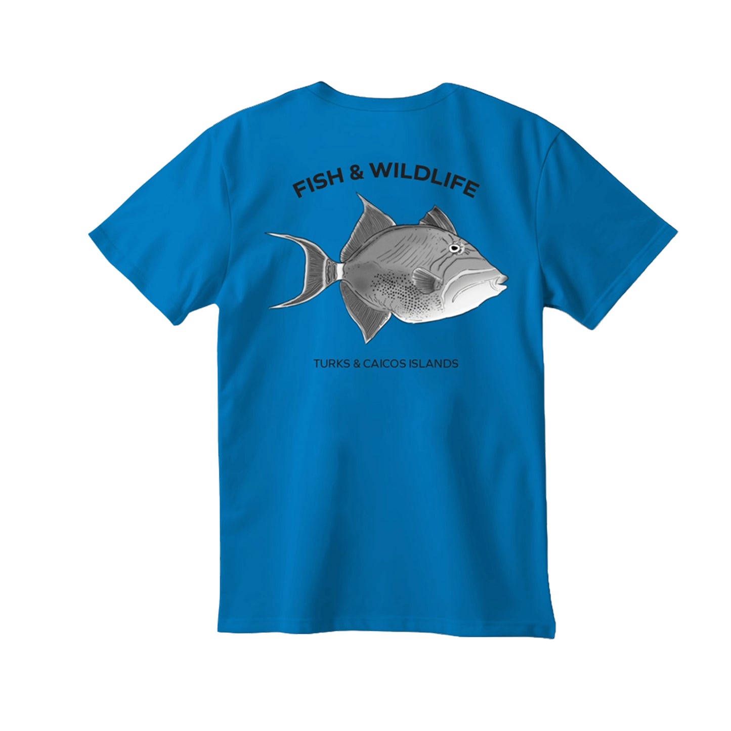 Queen Tiger Fish Animal T-Shirt - Sky Blue